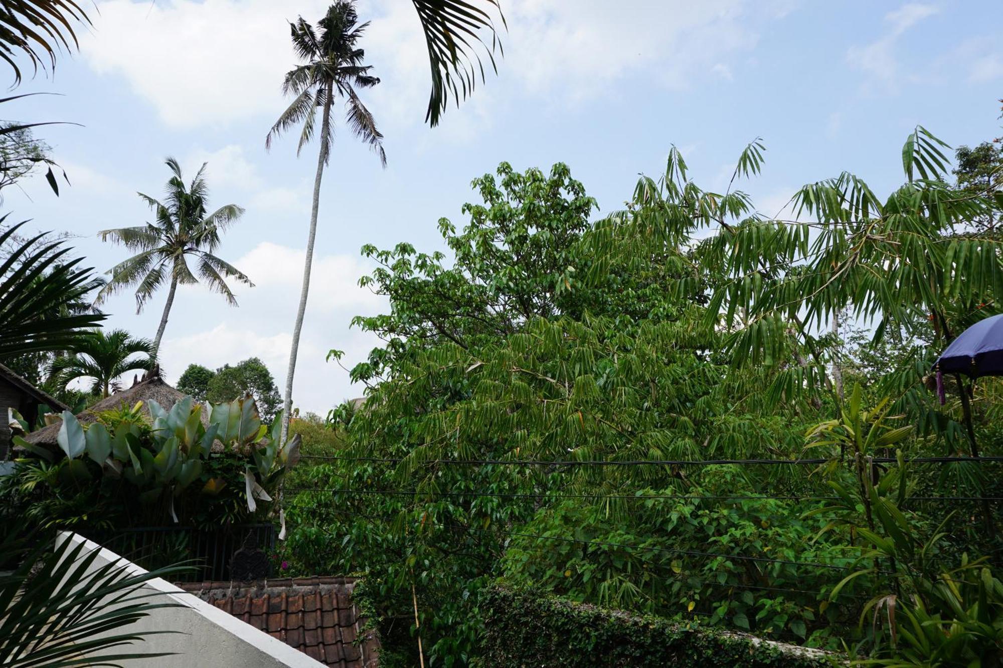Villa Indah Ubud  Bagian luar foto